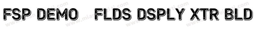 FSP DEMO   Flds Dsply xtr Bld Regul字体转换